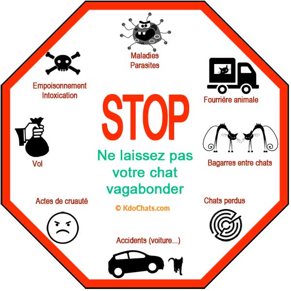 danger sortir-chat