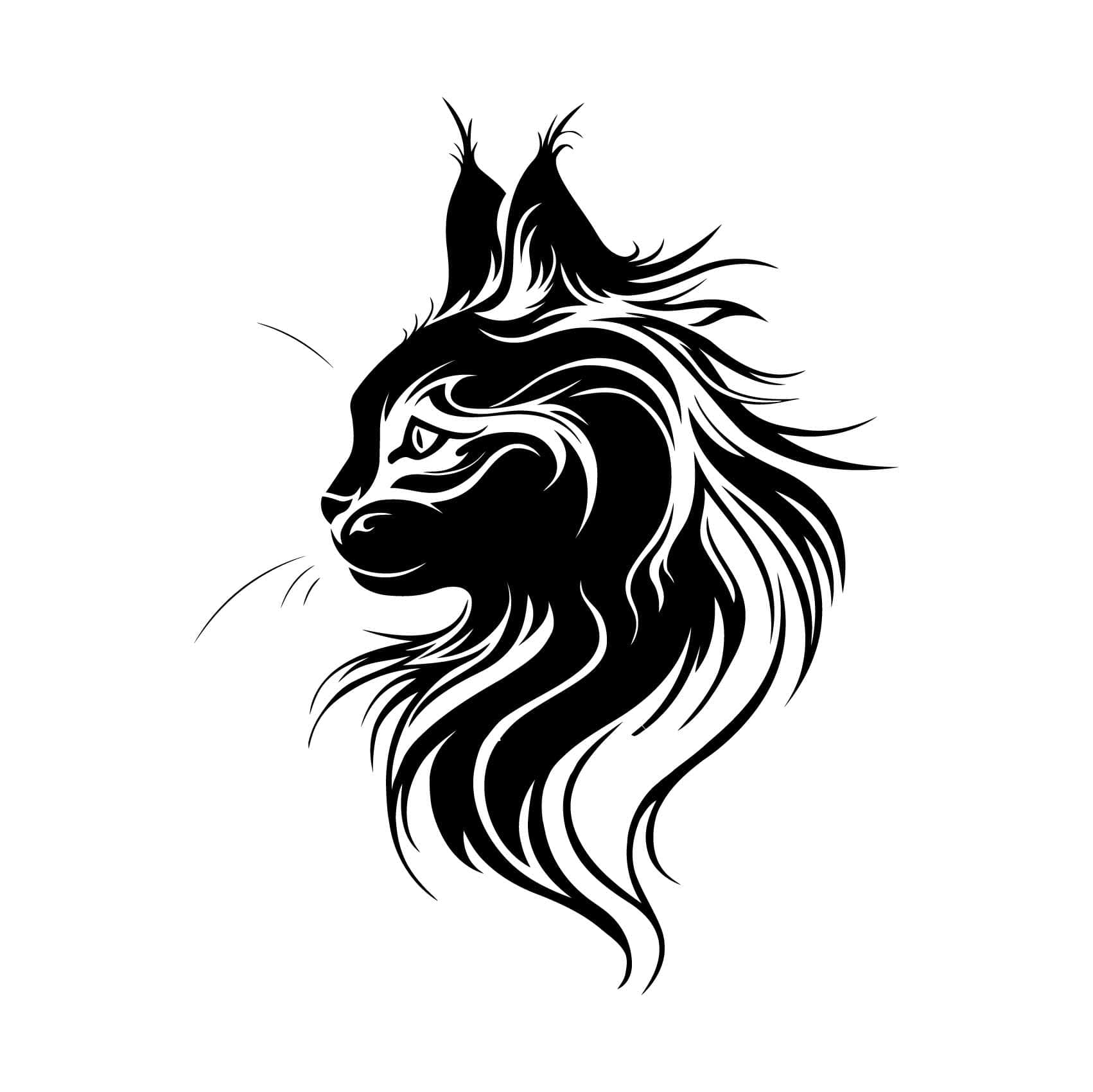tete chat maine coon noir site